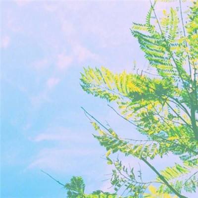 足球彩票正规app下载